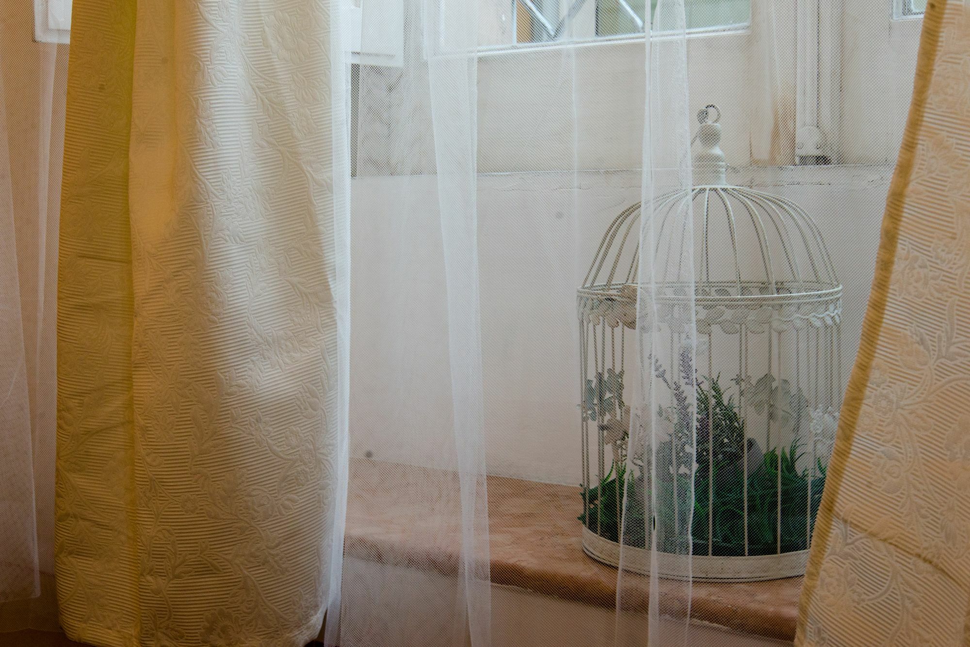 Guest house Vaticana
